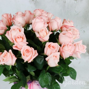 25 нежно-розовых роз
